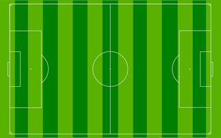 米兰体育官网首页-国足主场比赛战术布置与得分模型关联，国足阵容战术