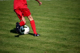 米兰体育在线-体育新闻中心发布体育短视频内容运营新策略，体育短视频存在的问题